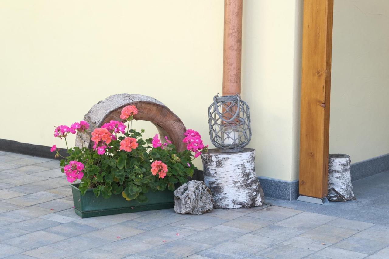 B&B Le Ciorciole Tesero Exteriér fotografie